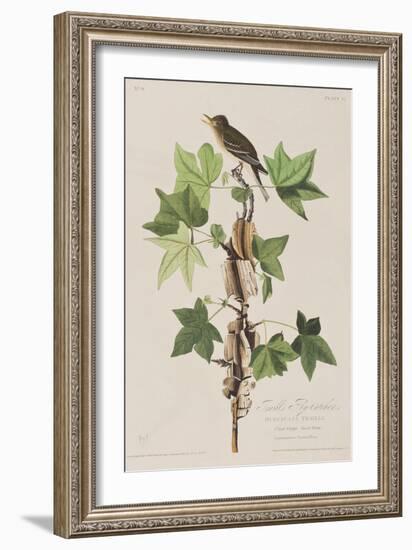 Illustration from 'Birds of America', 1827-38-John James Audubon-Framed Giclee Print