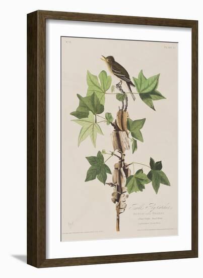 Illustration from 'Birds of America', 1827-38-John James Audubon-Framed Giclee Print