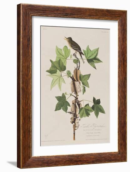 Illustration from 'Birds of America', 1827-38-John James Audubon-Framed Giclee Print