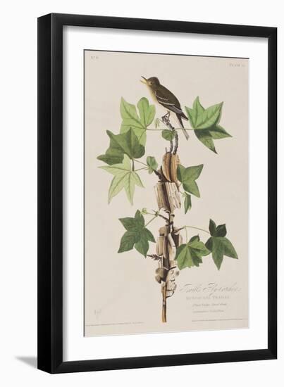 Illustration from 'Birds of America', 1827-38-John James Audubon-Framed Giclee Print