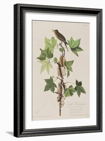 Illustration from 'Birds of America', 1827-38-John James Audubon-Framed Giclee Print