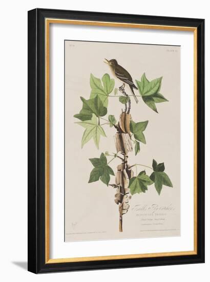 Illustration from 'Birds of America', 1827-38-John James Audubon-Framed Giclee Print