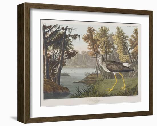 Illustration from 'Birds of America', 1827-38-John James Audubon-Framed Giclee Print