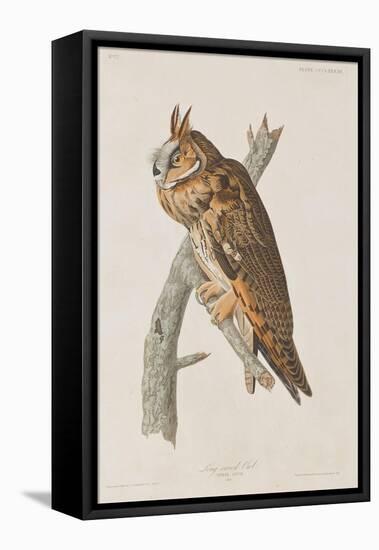 Illustration from 'Birds of America', 1827-38-John James Audubon-Framed Premier Image Canvas