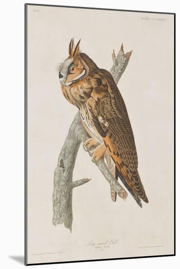 Illustration from 'Birds of America', 1827-38-John James Audubon-Mounted Giclee Print