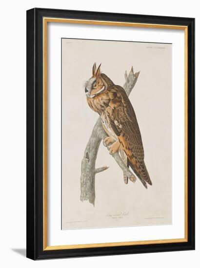 Illustration from 'Birds of America', 1827-38-John James Audubon-Framed Giclee Print