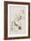 Illustration from 'Birds of America', 1827-38-John James Audubon-Framed Giclee Print