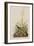 Illustration from 'Birds of America', 1827-38-John James Audubon-Framed Giclee Print