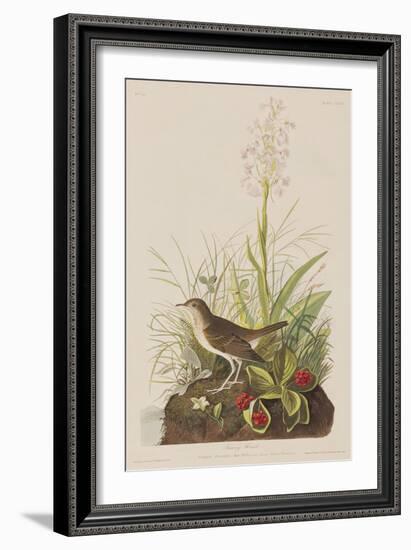 Illustration from 'Birds of America', 1827-38-John James Audubon-Framed Giclee Print