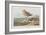 Illustration from 'Birds of America', 1827-38-John James Audubon-Framed Giclee Print