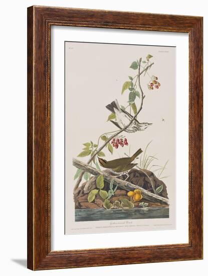 Illustration from 'Birds of America', 1827-38-John James Audubon-Framed Giclee Print