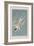 Illustration from 'Birds of America', 1827-38-John James Audubon-Framed Giclee Print