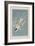 Illustration from 'Birds of America', 1827-38-John James Audubon-Framed Giclee Print