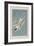 Illustration from 'Birds of America', 1827-38-John James Audubon-Framed Giclee Print