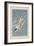 Illustration from 'Birds of America', 1827-38-John James Audubon-Framed Giclee Print