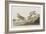 Illustration from 'Birds of America', 1827-38-John James Audubon-Framed Giclee Print