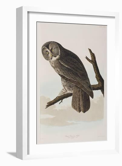 Illustration from 'Birds of America', 1827-38-John James Audubon-Framed Giclee Print