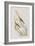 Illustration from 'Birds of America', 1827-38-John James Audubon-Framed Giclee Print