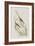 Illustration from 'Birds of America', 1827-38-John James Audubon-Framed Giclee Print