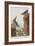 Illustration from 'Birds of America', 1827-38-John James Audubon-Framed Giclee Print