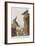 Illustration from 'Birds of America', 1827-38-John James Audubon-Framed Giclee Print