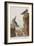 Illustration from 'Birds of America', 1827-38-John James Audubon-Framed Giclee Print