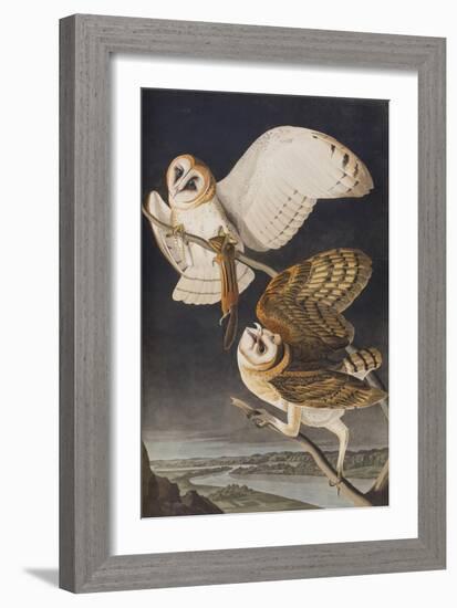 Illustration from 'Birds of America', 1827-38-John James Audubon-Framed Giclee Print