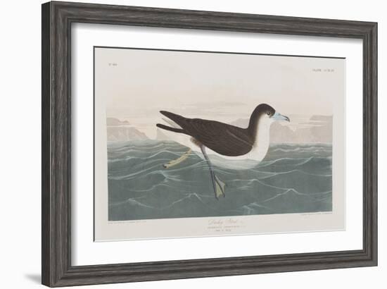 Illustration from 'Birds of America', 1827-38-John James Audubon-Framed Giclee Print