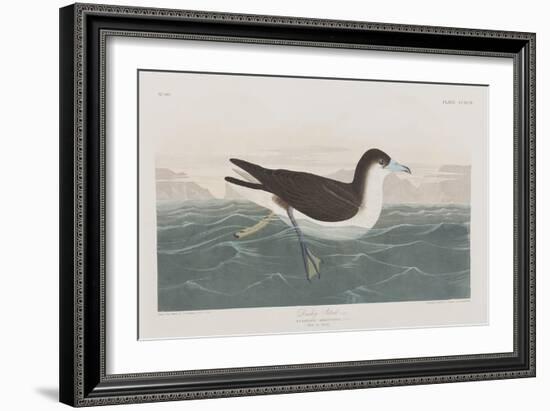 Illustration from 'Birds of America', 1827-38-John James Audubon-Framed Giclee Print