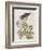 Illustration from 'Birds of America', 1827-38-John James Audubon-Framed Giclee Print