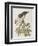 Illustration from 'Birds of America', 1827-38-John James Audubon-Framed Giclee Print