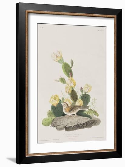 Illustration from 'Birds of America', 1827-38-John James Audubon-Framed Giclee Print