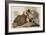 Illustration from 'Birds of America', 1827-38-John James Audubon-Framed Giclee Print