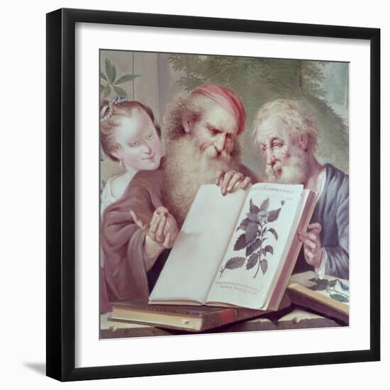 Illustration from Hortus Cliffortianus, by Carl Linnaeus Published Amsterdam 1737-38-null-Framed Giclee Print
