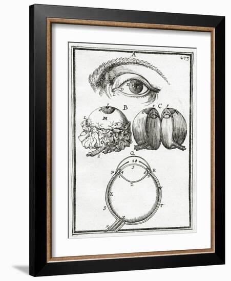 Illustration from La Geometrie Pratique 1702, (Engraving)-Alain Manesson Mallet-Framed Giclee Print