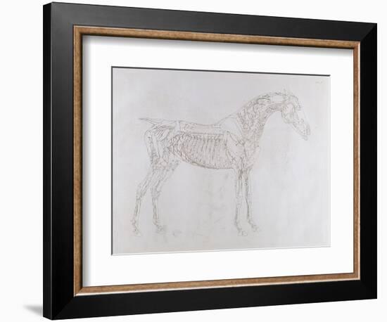 Illustration from 'The Anatomy of the Horse, Including a Particular Description of the Bones,…-George Stubbs-Framed Giclee Print