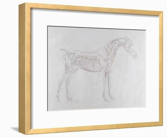 Illustration from 'The Anatomy of the Horse, Including a Particular Description of the Bones,…-George Stubbs-Framed Giclee Print