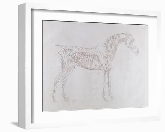 Illustration from 'The Anatomy of the Horse, Including a Particular Description of the Bones,…-George Stubbs-Framed Giclee Print