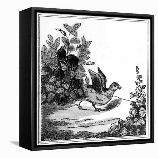 Illustration from the 'Remarkable Story of Chicken Little', 1840-null-Framed Premier Image Canvas