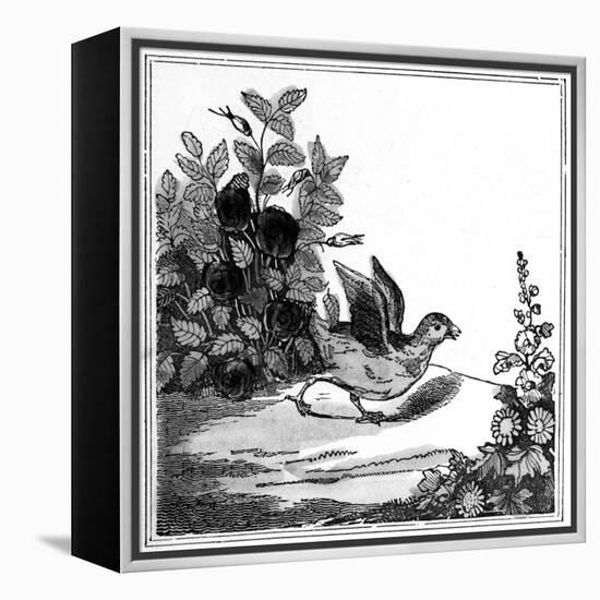 Illustration from the 'Remarkable Story of Chicken Little', 1840-null-Framed Premier Image Canvas