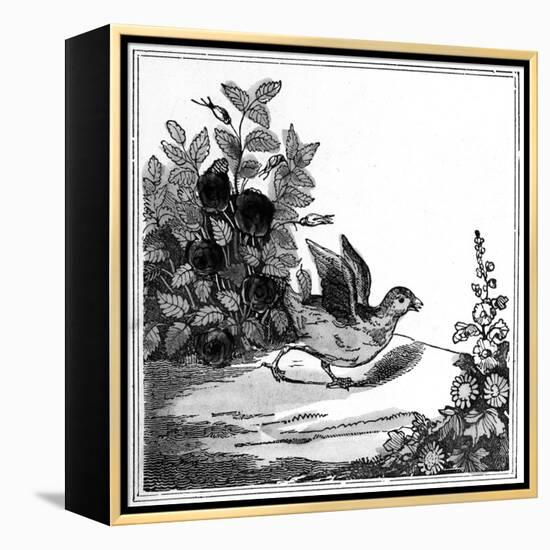 Illustration from the 'Remarkable Story of Chicken Little', 1840-null-Framed Premier Image Canvas