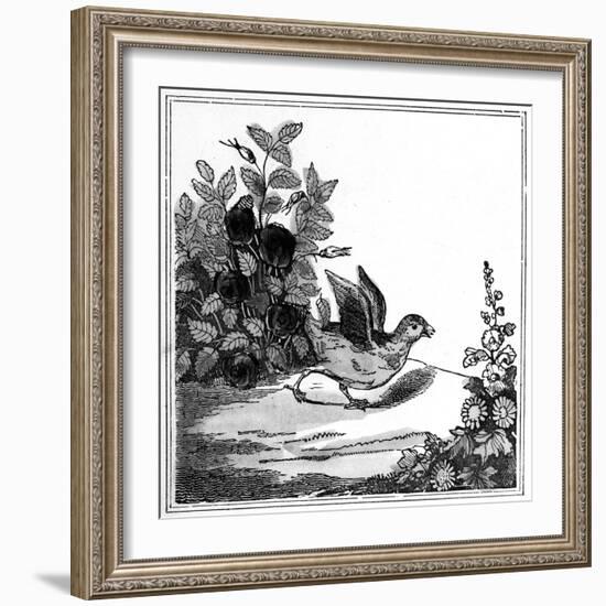 Illustration from the 'Remarkable Story of Chicken Little', 1840-null-Framed Giclee Print