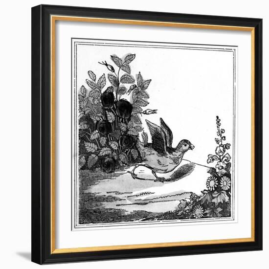 Illustration from the 'Remarkable Story of Chicken Little', 1840-null-Framed Giclee Print