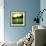 Illustration of a Golf Ball on a Green Meadow-olly2-Framed Photographic Print displayed on a wall