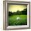 Illustration of a Golf Ball on a Green Meadow-olly2-Framed Photographic Print