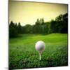 Illustration of a Golf Ball on a Green Meadow-olly2-Mounted Photographic Print