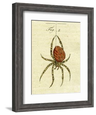 Spiders From Mars! Art Board Print for Sale by jtrenshaw