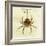 Illustration of a Spider, 1790-Jacob Xavier Schmuzer-Framed Giclee Print