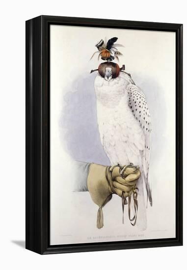 Illustration of a White Hawk-null-Framed Premier Image Canvas