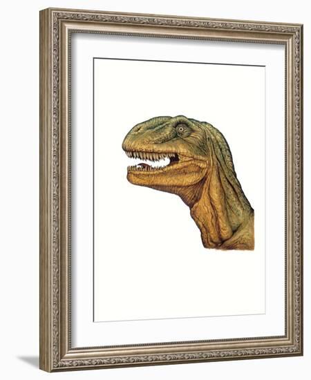 Illustration of Allosaurus, Close Up of Head-null-Framed Giclee Print